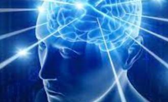 Precision Neuroscience ���� ������ �� ���������� ���������� � �����: 4096 ����!
