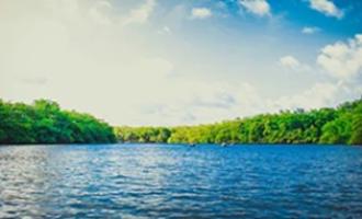 �������� � ������������ �������: ���������� ������� ������������ � ������� ����