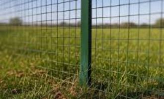 ������������ ��������� ��� ��������� ������������: ��� �������� ������ ���������� �� 3D-�����